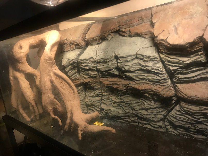 Filling behind 3D Aquarium background expanding foam? The Planted Tank Forum